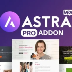 Astra Pro Addon For Astra Theme 4.6.4