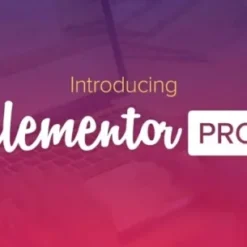 Elementor PRO WordPress Page Builder - Latest Version